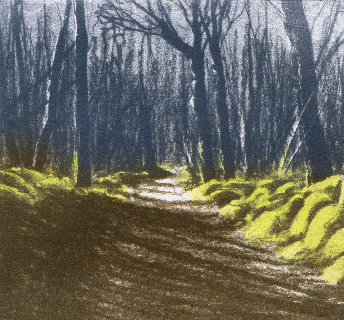 Woodland Shadow 1 by Aidan Flanagan Irish Landscapes