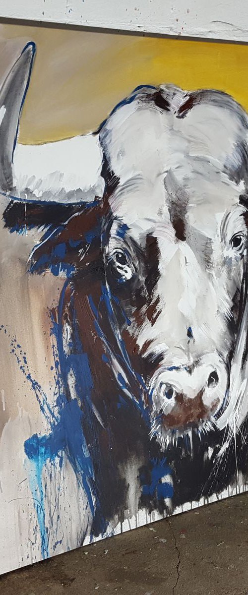 TAURUS #1 – Close up portrait of a bull **large Painting 100 x 100 cm by Stefanie Rogge