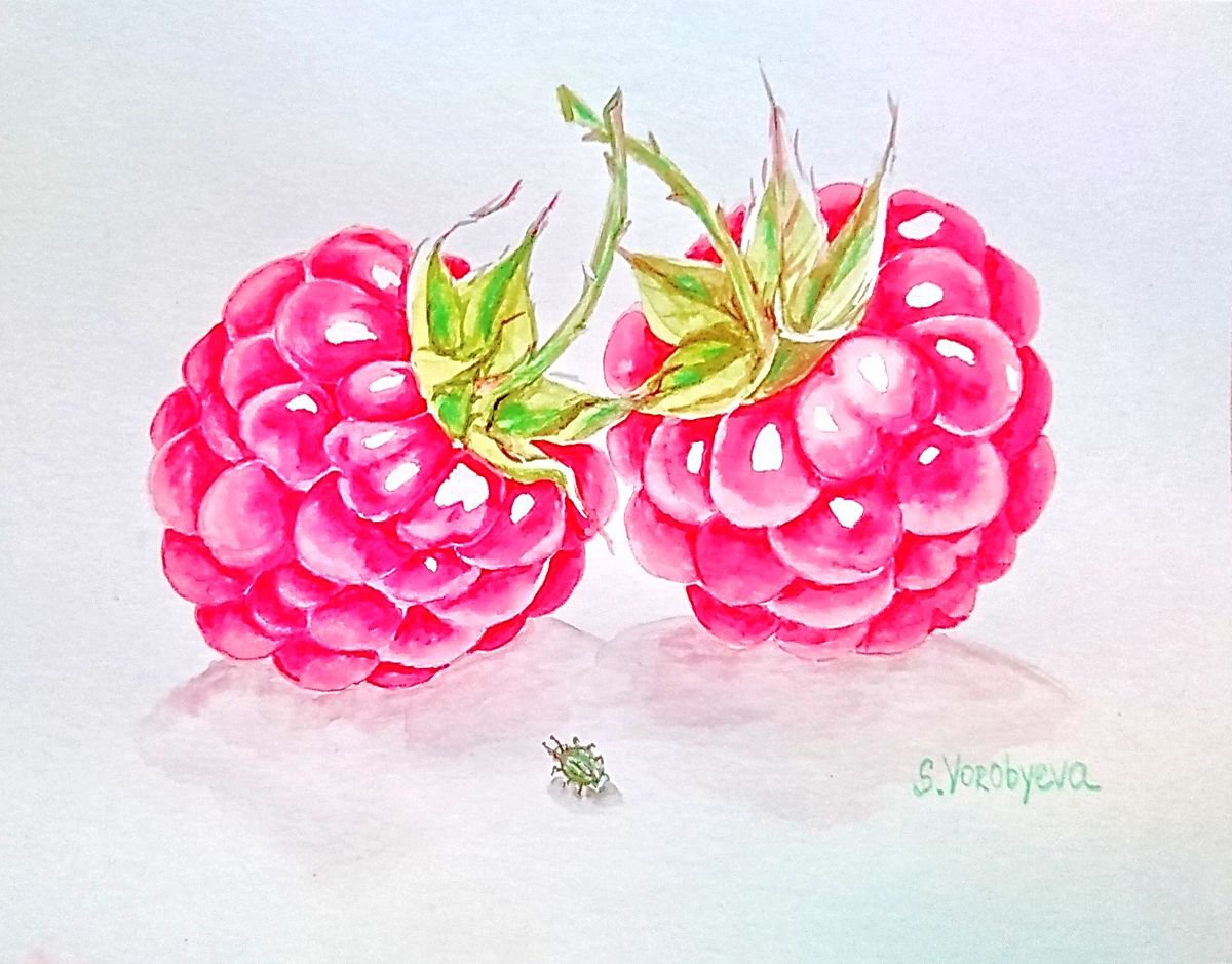 Raspberry by Svetlana Vorobyeva