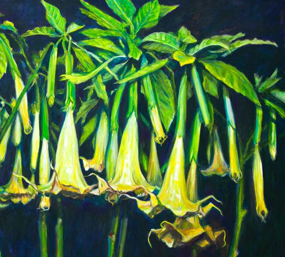 Angels Trumpets