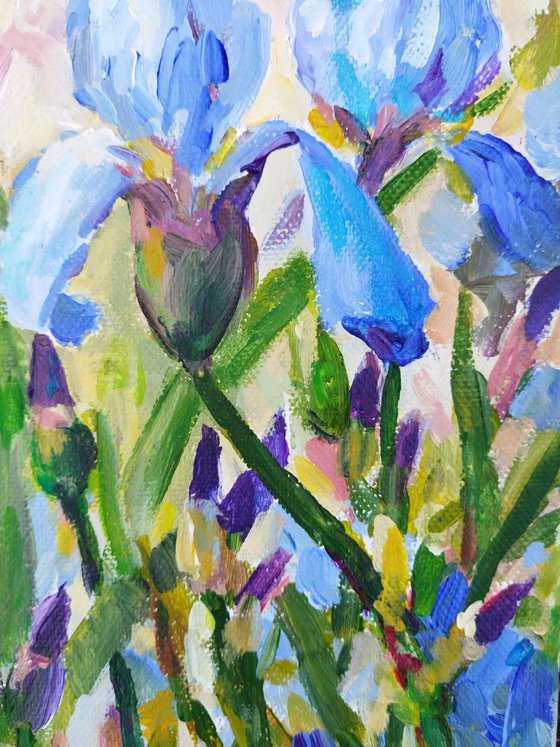 Blue irises