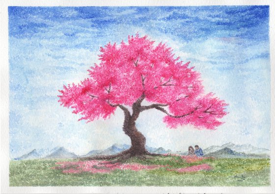 Japanese Sakura tree