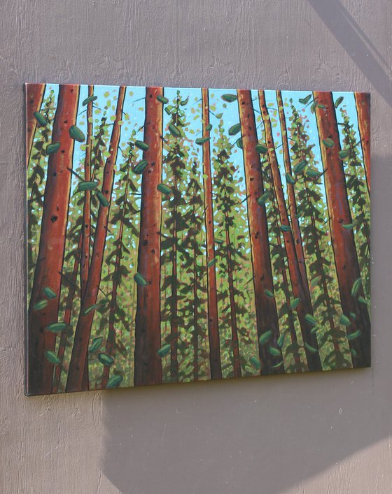 Trees of the Forest