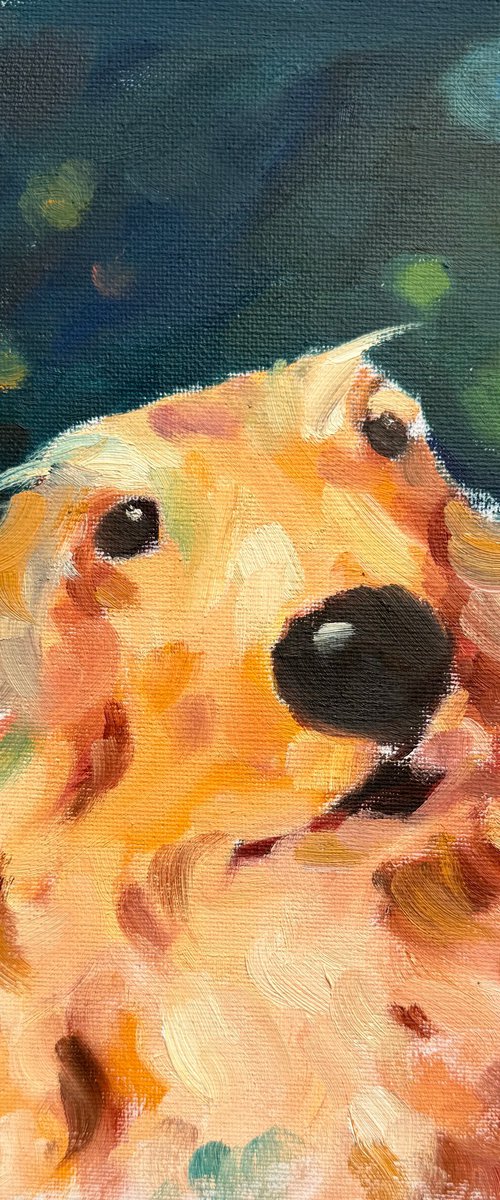 Good Dog by Anja Rudko