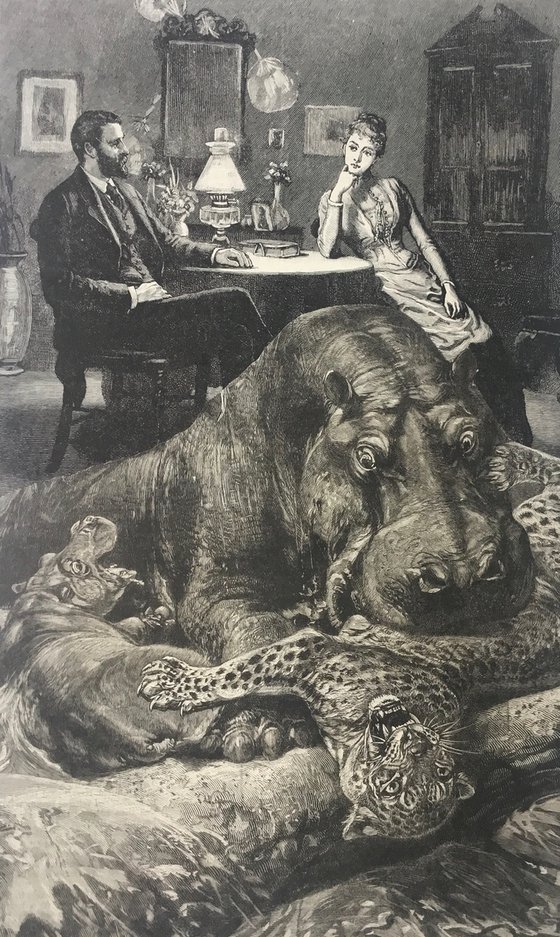 Hippo Cheetah Marriage