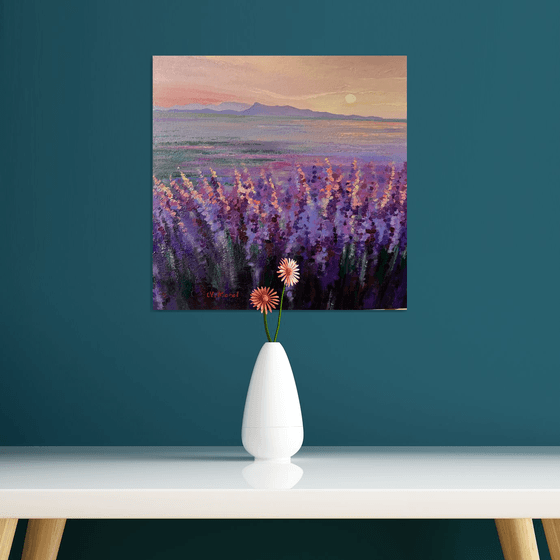 Blushing lavender morning