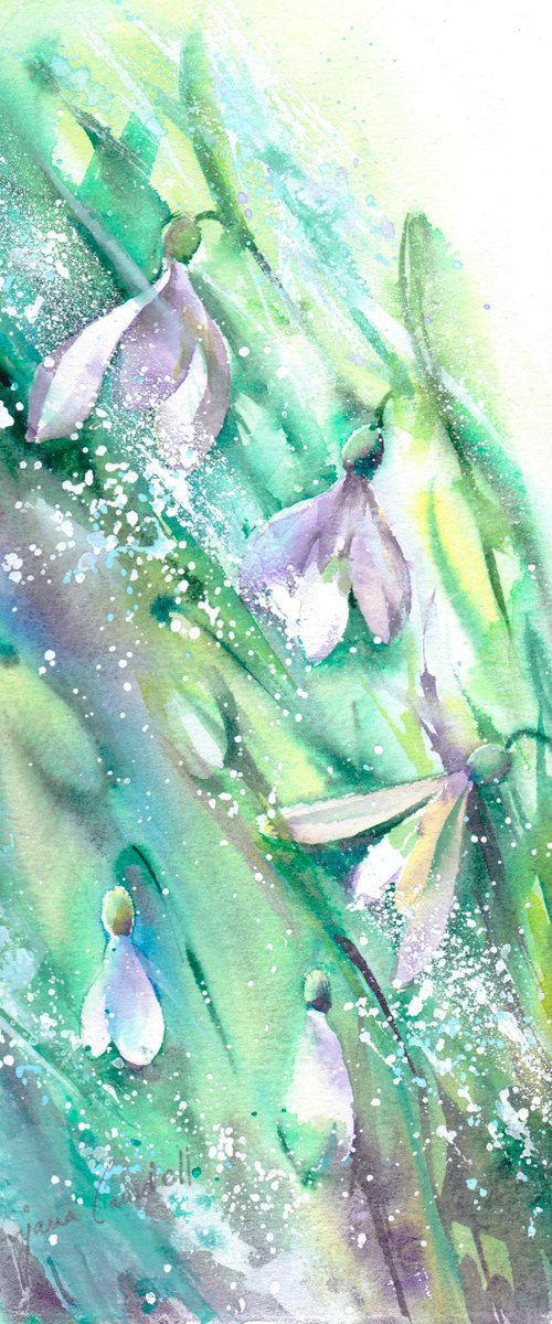 Snowdrops by Anjana Cawdell