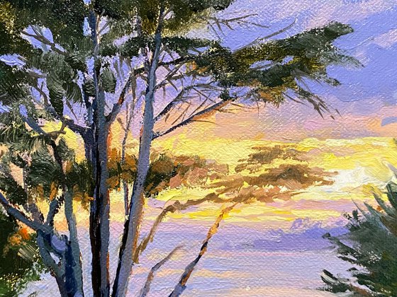 Carmel Beach Cypress At Sunset