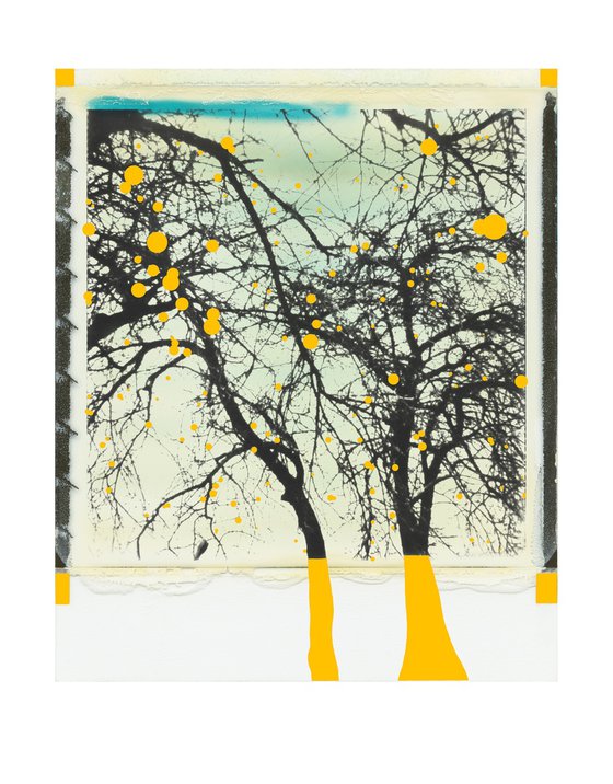 Trees with yellow apples