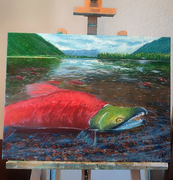 Journey of the Sockeye