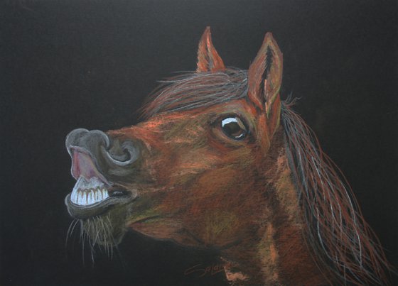 Horse IV / Original Painting