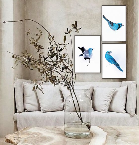 Birds