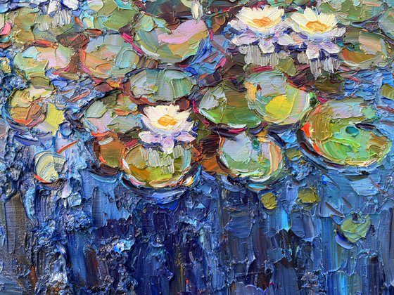 river with water lilies