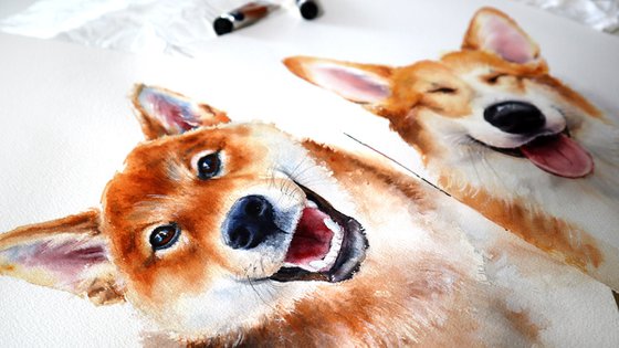 Shiba Inu Puppy - Original Dog Portrait in Watercolor