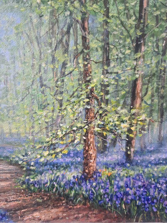 A Walk In The Bluebell Woods