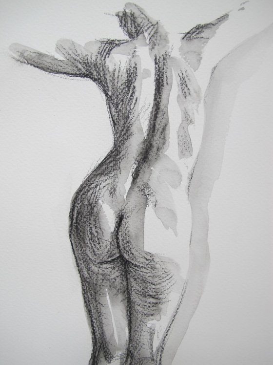 standing nude back study
