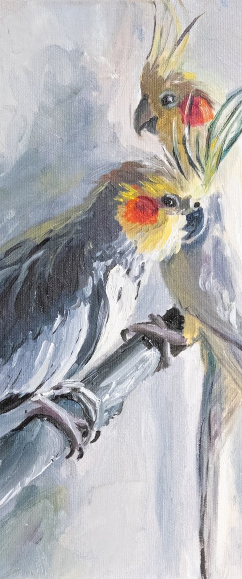 Parrots by Catherine Varadi
