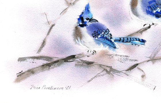 Blue jays original watercolour painting with blue birds on branch, farmhouse painting decor for home gift idea