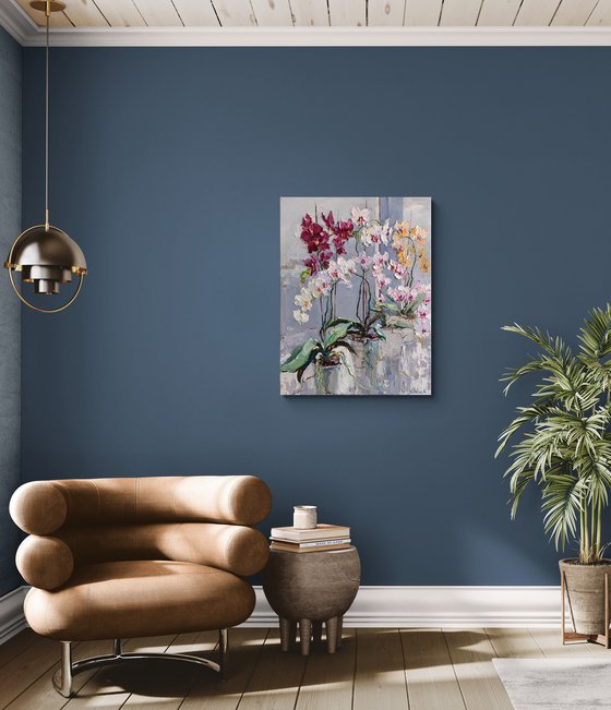 Blooming Colorful Orchids