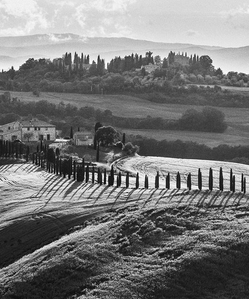 Rolling Hills of Tuscany by Peter Zelei