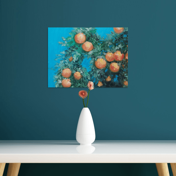 Orange tree in the sun