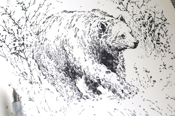 A Bear on a Walk