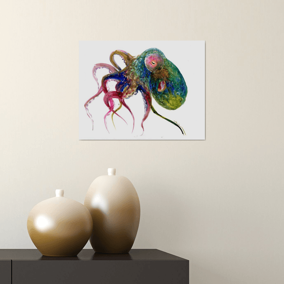 Colorful Octopus