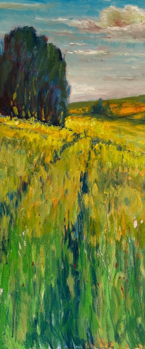 Over the field by Vasily Kulchenko