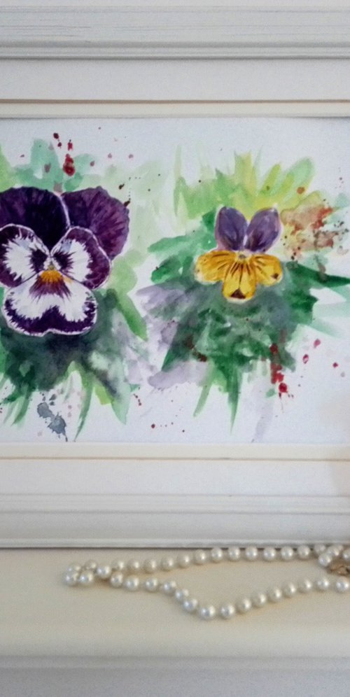 Pansy Vs Viola flower by MARJANSART