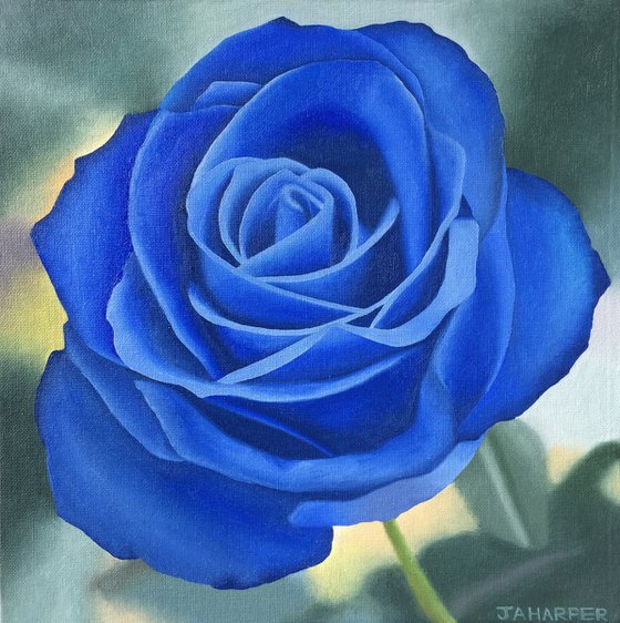 Royal Blue Rose