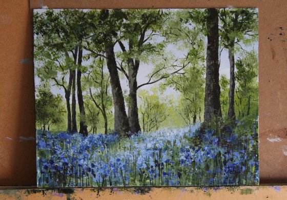 Bluebells