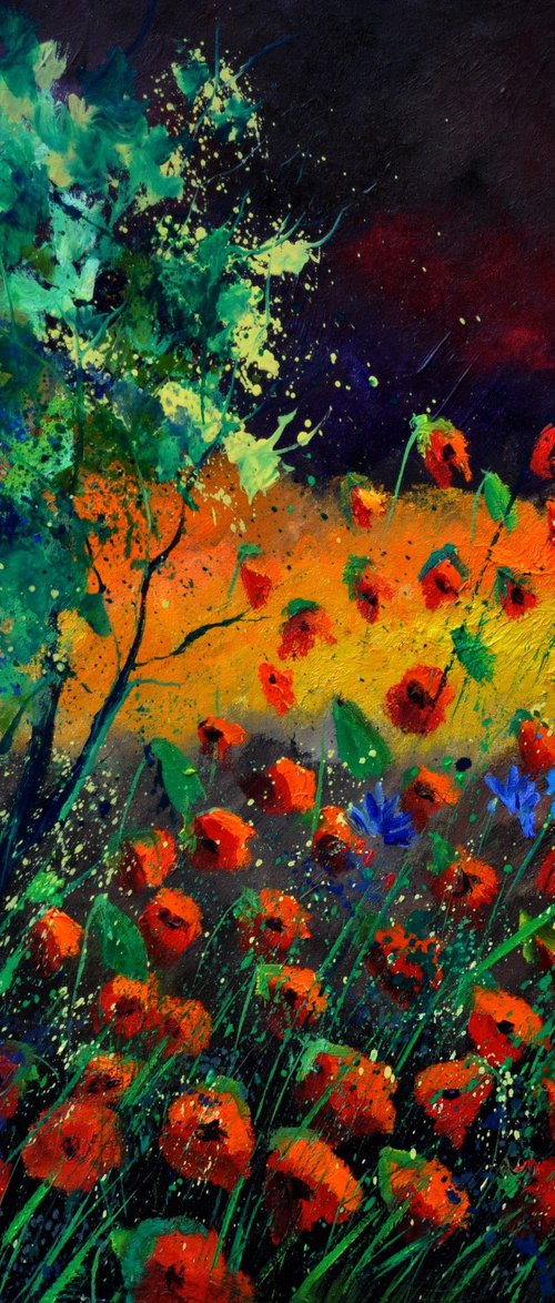 Poppies at moonshine by Pol Henry Ledent