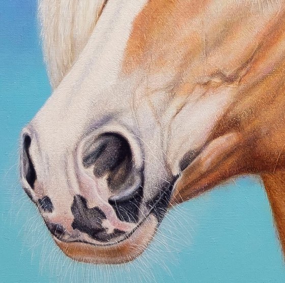 Helia, Serene Soul,Hors.