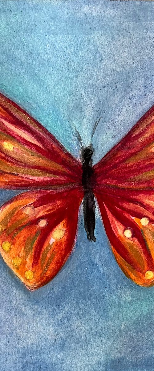 Butterfly III by Dawn Rodger