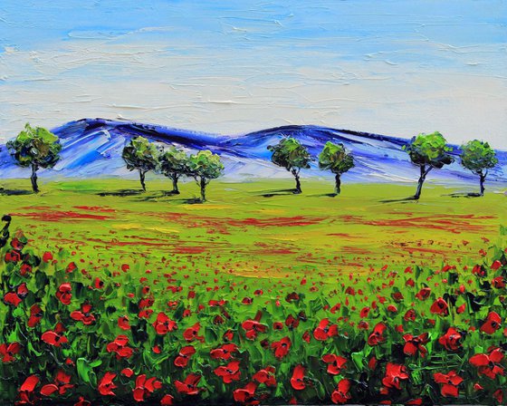 Napa Poppy Fields