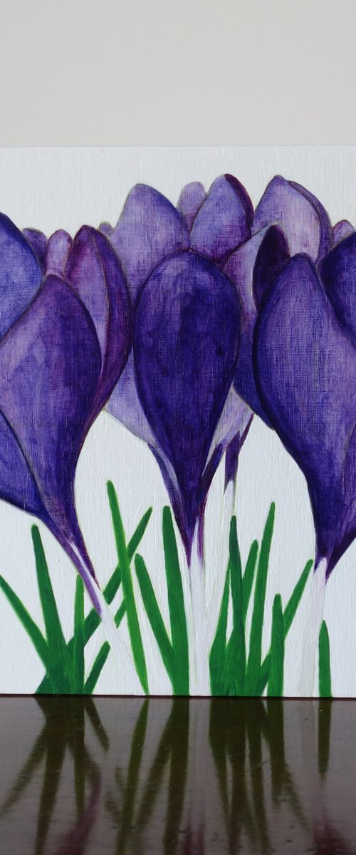 Purple Crocus by Susan Porter