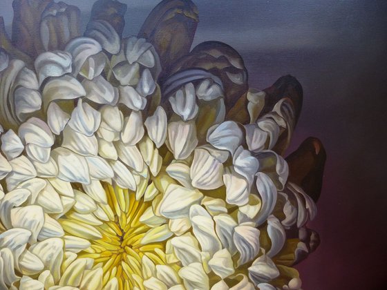 40" White Flower/ Large Floral Oil Painting on canvas