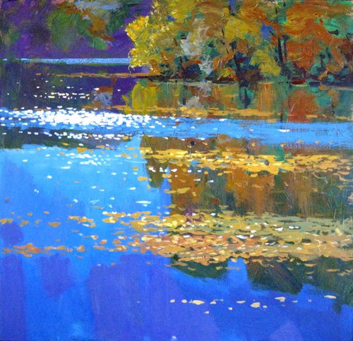 reflection in water by Sergey  Kachin