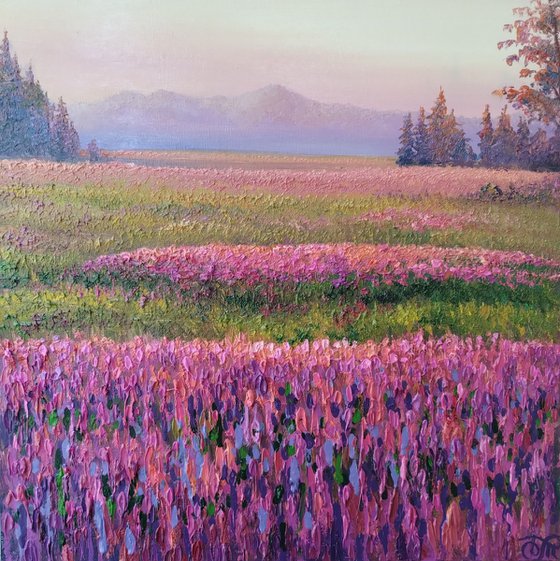 Meadow of flowers