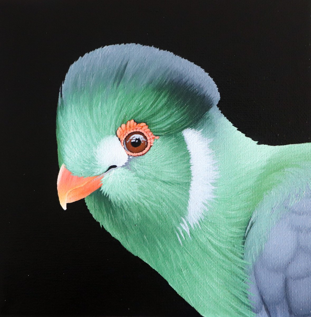 Photorealistic Animal Oil Painting By Milie Lairie, 8 X 8", Turaco, Original Artwork