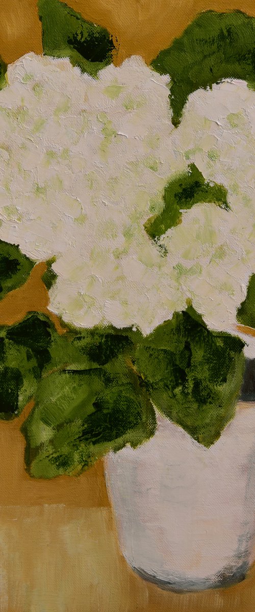 Hydrangea by Elena Zapassky