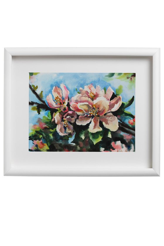 Apple blossom. Original