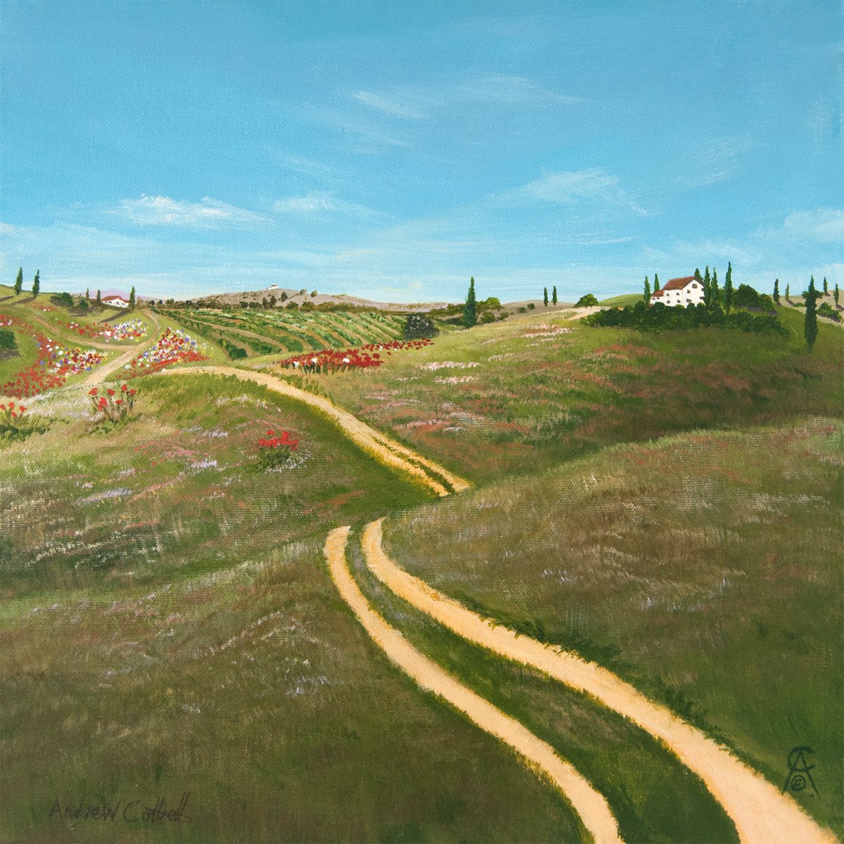 Long and Winding Road by Andrew Cottrell