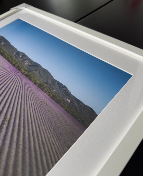 PROVENCE LANDSCAPE