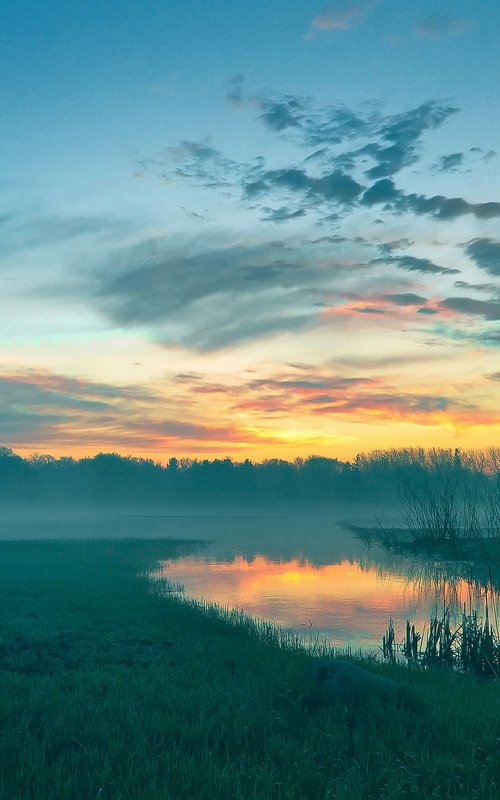 Morning Light by Emily Kent