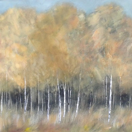 Autumnal Birches