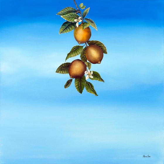 O Limoeiro (The Lemon Tree)