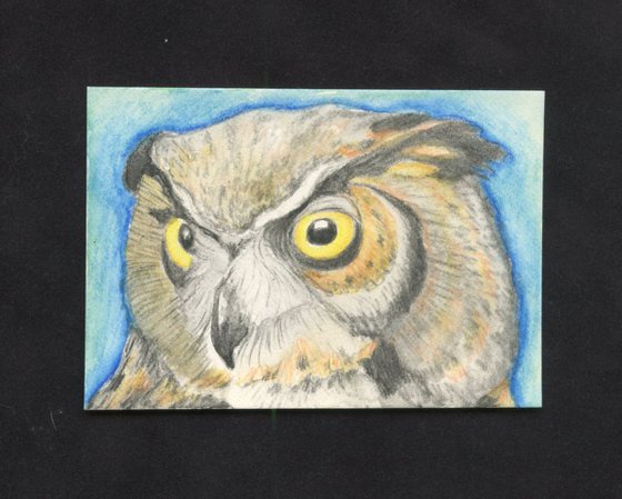 ACEO ATC Original Watercolor Pencil Art-Horned Owl Bird Wildlife-Carla Smale