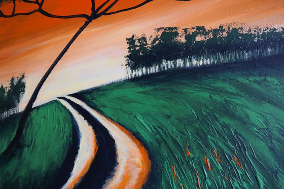 Rays on the Road -  Fields and Colors Series