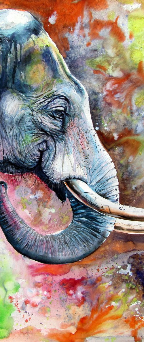 Beautiful elephant by Kovács Anna Brigitta